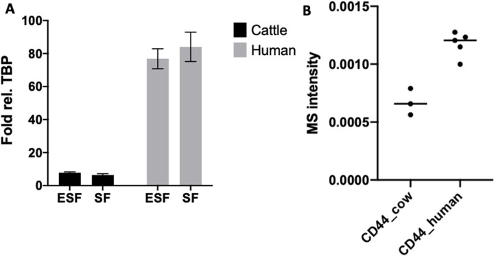 Evolution of higher mesenchymal CD44 expression in the human lineage: A gene linked to cancer malignancy.