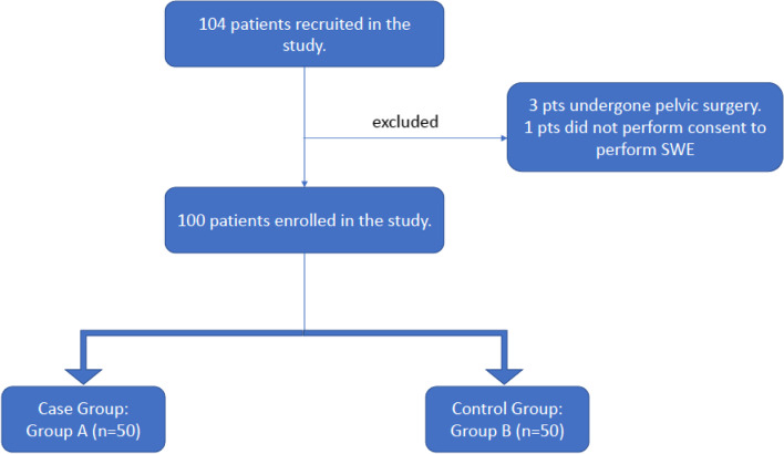 Use of penile shear wave elastosonography for the diagnosis of Peyronie's Disease: a prospective case-control study.