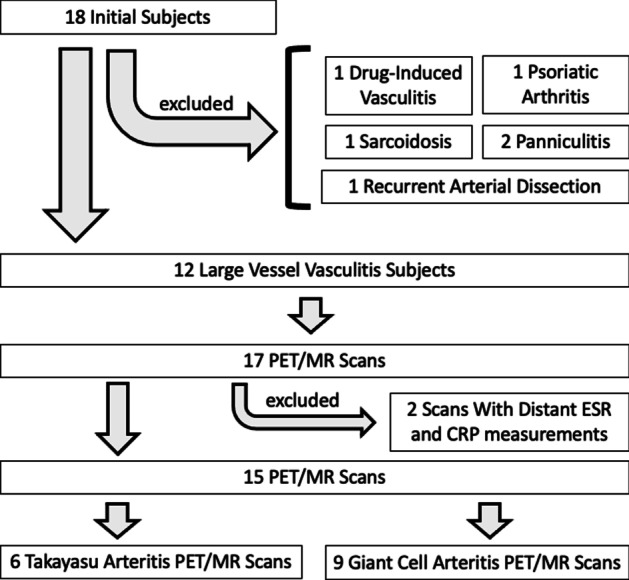 Combined modality PET/MR for the detection of severe large vessel vasculitis.