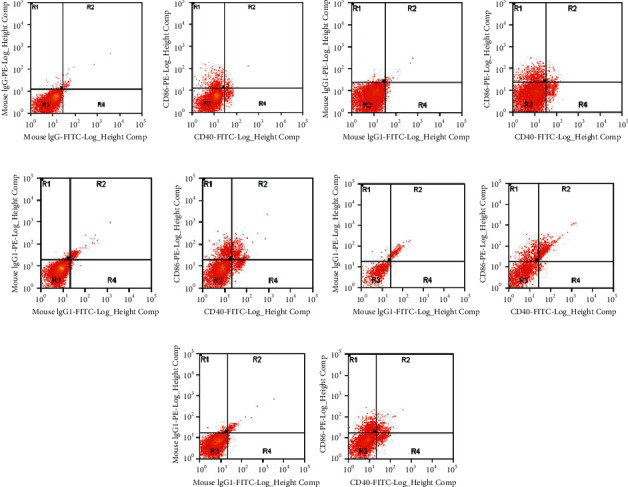 The Role of CD40, CD86, and Glutathione S-Transferase Omega 1 in the Pathogenesis of Chronic Obstructive Pulmonary Disease.