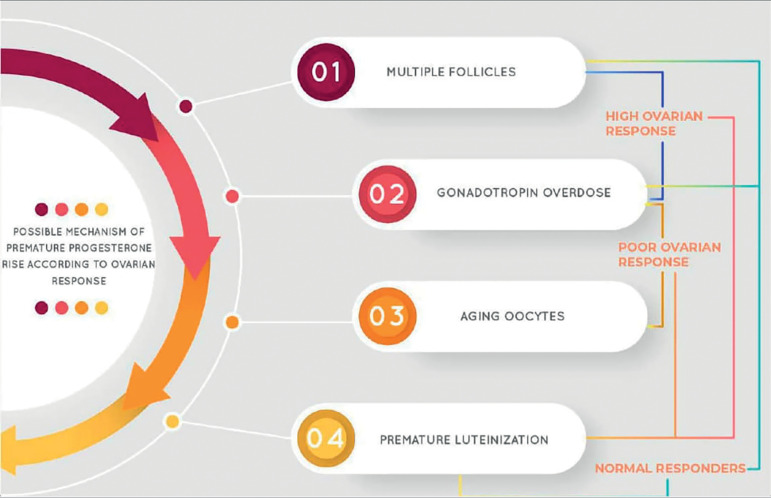 Novel insights on premature progesterone elevation: a mini-review.