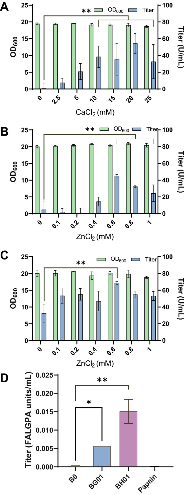 Secretion of collagenases by Saccharomyces cerevisiae for collagen degradation.