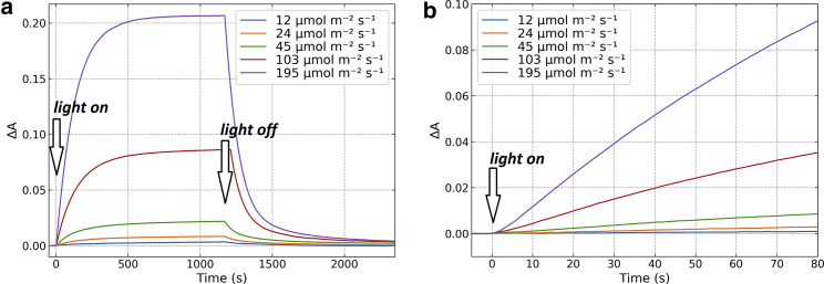 Is orange carotenoid protein photoactivation a single-photon process?