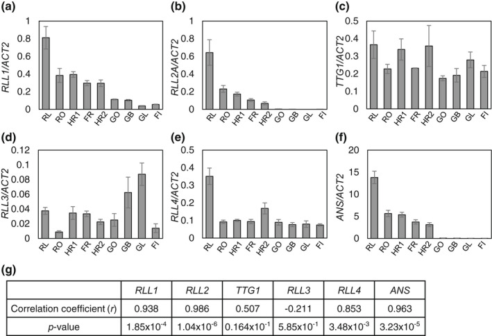 Genetic effects of <i>Red Lettuce Leaf</i> genes on red coloration in leaf lettuce under artificial lighting conditions.