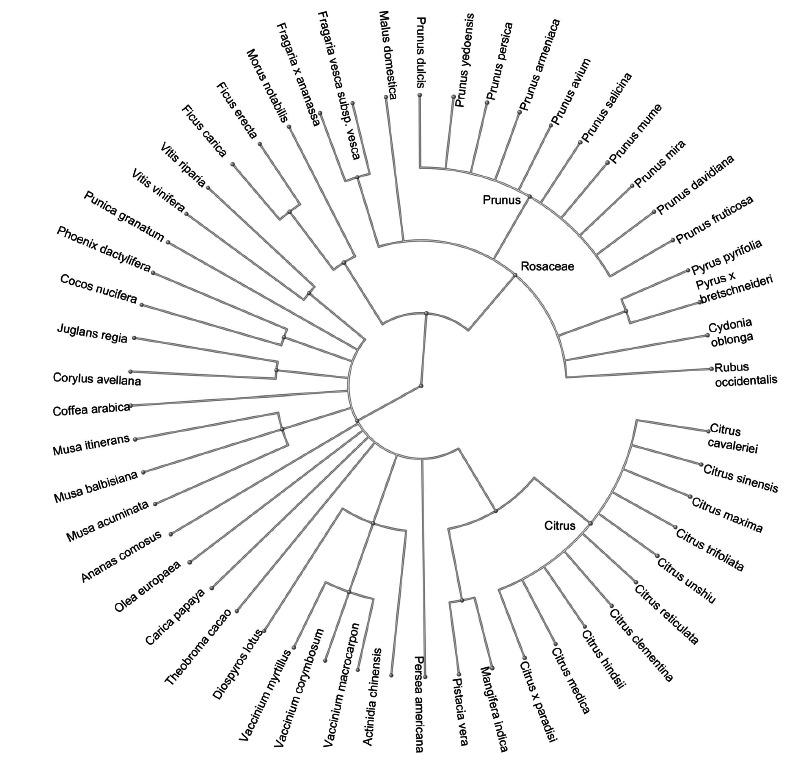 Genomic and Bioinformatic Resources for Perennial Fruit Species.