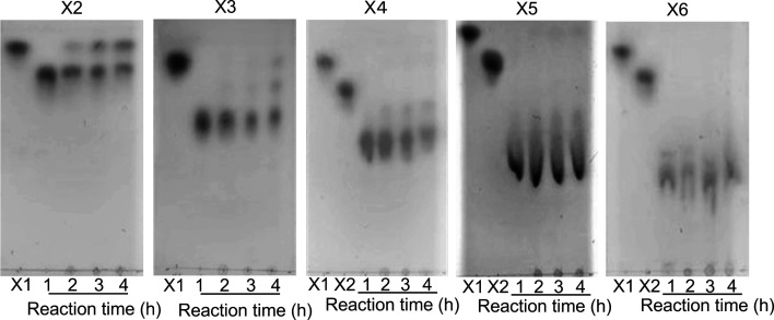 Characterization of a GH Family 43 β-Xylosidase Having a Novel Carbohydrate-binding Module from <i>Paenibacillus xylaniclasticus</i> Strain TW1.