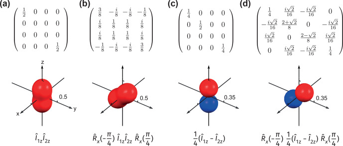 Visualization of dynamics in coupled multi-spin systems.