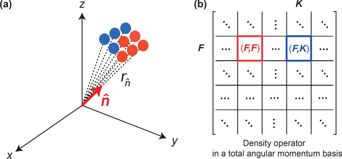 Visualization of dynamics in coupled multi-spin systems.