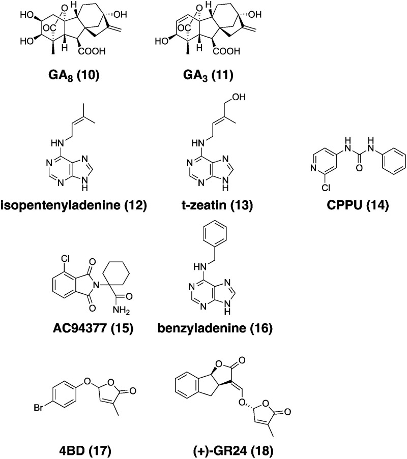 Emerging technologies for the chemical control of root parasitic weeds.