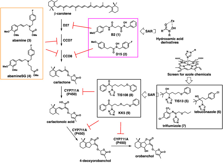 Emerging technologies for the chemical control of root parasitic weeds.