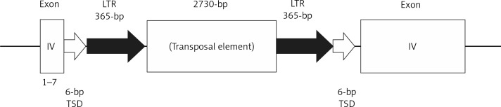 An insertion mutation in the <i>Apoe</i> gene associated with spontaneous hyperlipidemia in mice.