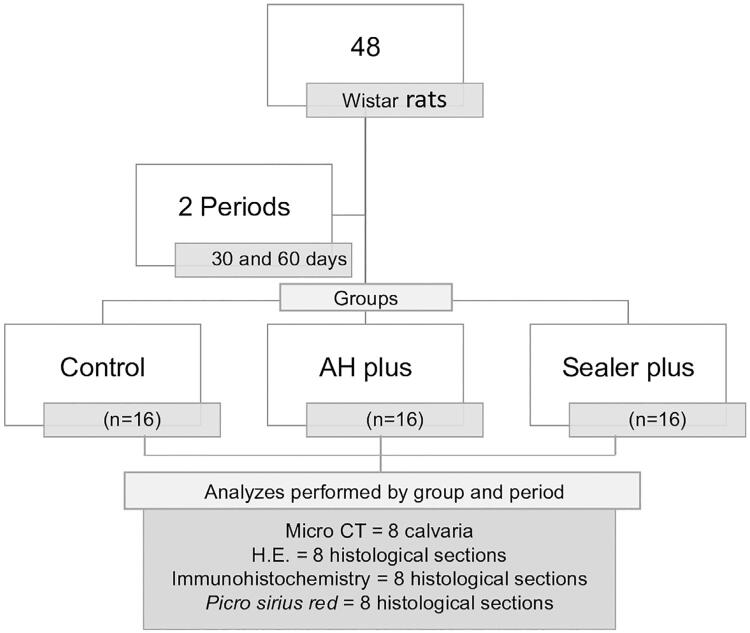 Laboratory study of tissue repair of resin-based endodontic sealers in critical surgical defects.