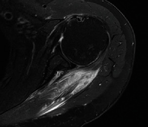 Abstract Image