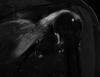 Abstract Image