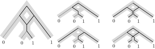 Treewidth-based algorithms for the small parsimony problem on networks.