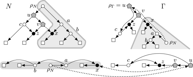 Treewidth-based algorithms for the small parsimony problem on networks.