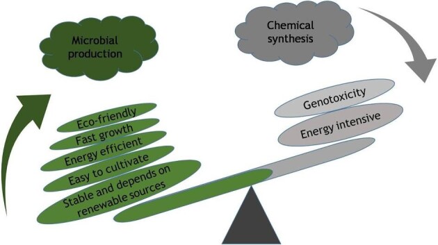 Microbial pigments: Learning from Himalayan perspective to industrial applications.