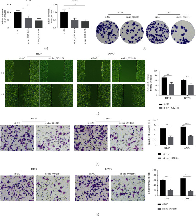 circ_0052184 Promotes Colorectal Cancer Progression via Targeting miR-604/HOXA9 Axis.