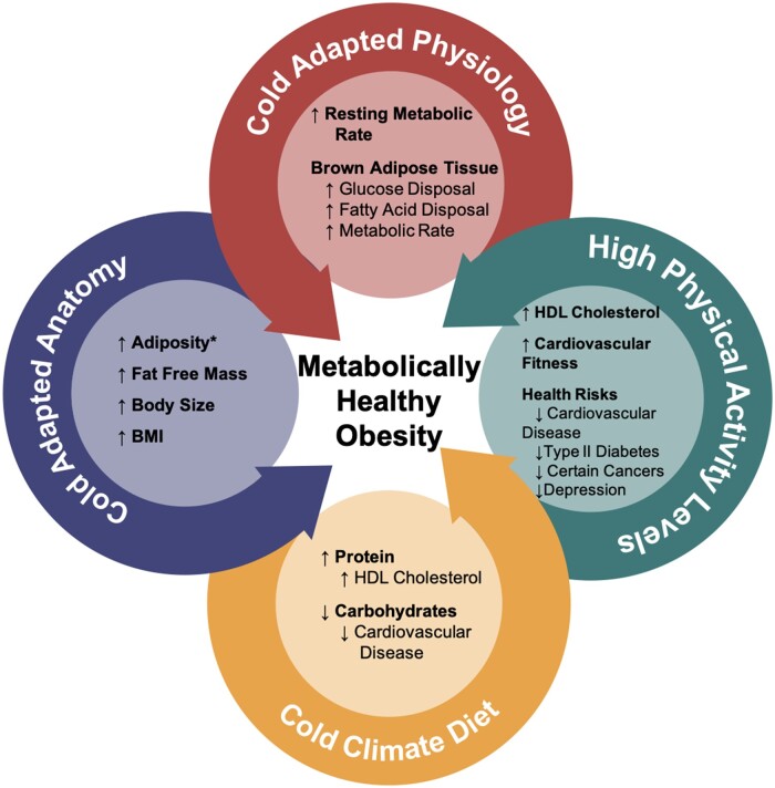 Commentary-fat but fit…and cold? Potential evolutionary and environmental drivers of metabolically healthy obesity.