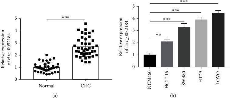 circ_0052184 Promotes Colorectal Cancer Progression via Targeting miR-604/HOXA9 Axis.