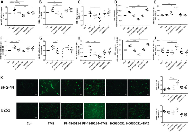 Activated TRPA1 plays a therapeutic role in TMZ resistance in glioblastoma by altering mitochondrial dynamics.