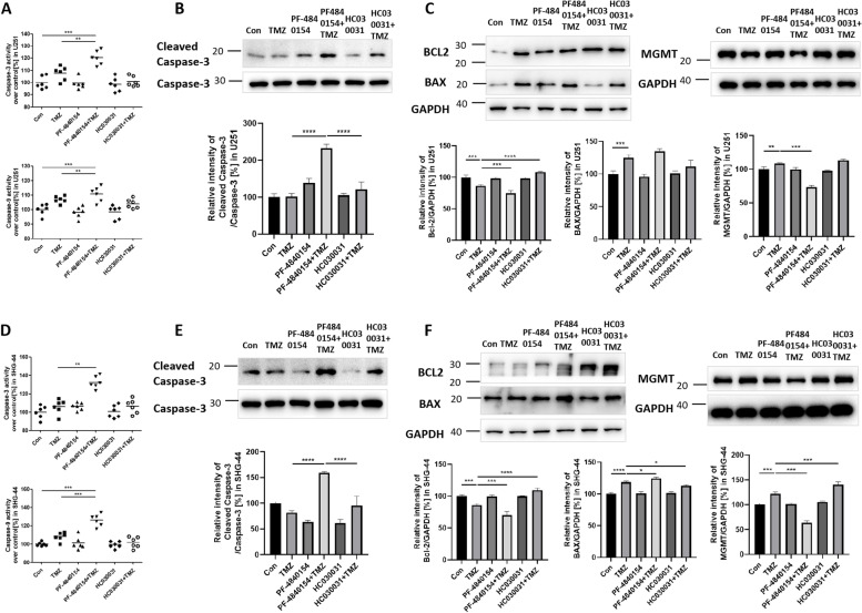 Activated TRPA1 plays a therapeutic role in TMZ resistance in glioblastoma by altering mitochondrial dynamics.