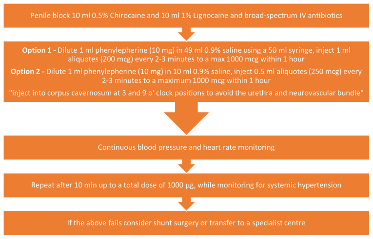 Recent advances in understanding and treating priapism.