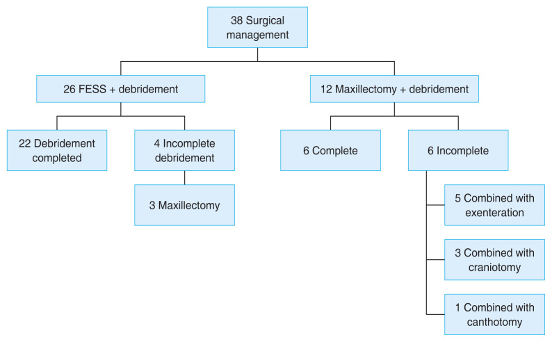 Rhino-orbito-cerebral Mucormycosis: Etiopathology, Clinical Features, Outcome, and the Factors Associated with Outcome.