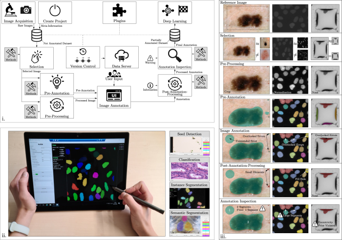 KaIDA: a modular tool for assisting image annotation in deep learning.