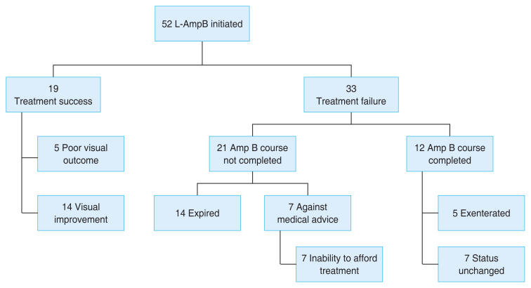 Rhino-orbito-cerebral Mucormycosis: Etiopathology, Clinical Features, Outcome, and the Factors Associated with Outcome.