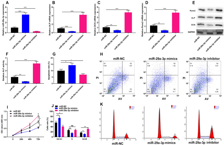 MiR-29a-3p Inhibits Proliferation and Osteogenic Differentiation of Human Bone Marrow Mesenchymal Stem Cells via Targeting FOXO3 and Repressing Wnt/<i>β</i>-Catenin Signaling in Steroid-Associated Osteonecrosis.