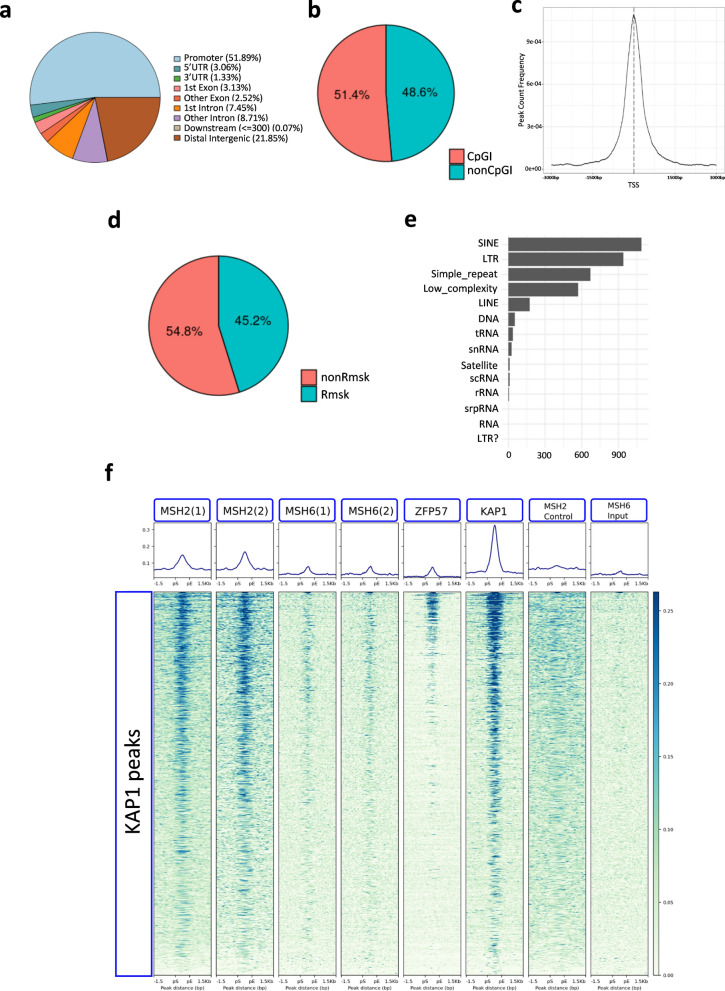 The mismatch-repair proteins MSH2 and MSH6 interact with the imprinting control regions through the ZFP57-KAP1 complex.