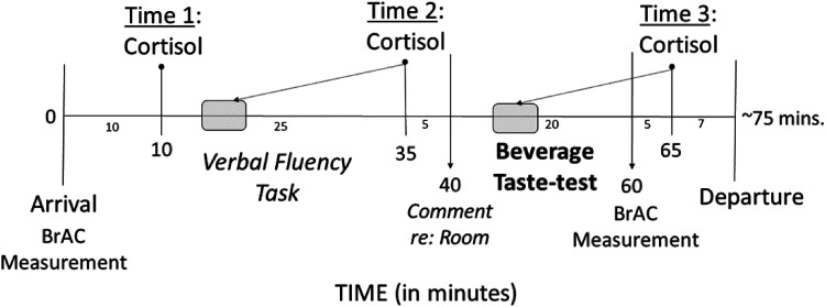 Aversive Self-Focus and Alcohol Consumption Behavior in Women with Sexual Identity-Uncertainty: Changes in Salivary Cortisol Stress Response Among Those who Drink-to-Cope.