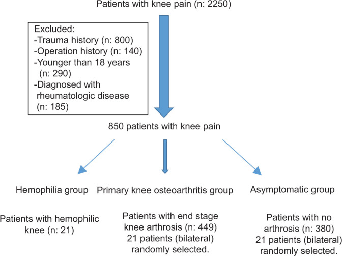 Anatomical bone structure differences in patients with hemophilic arthropathy of the knee.