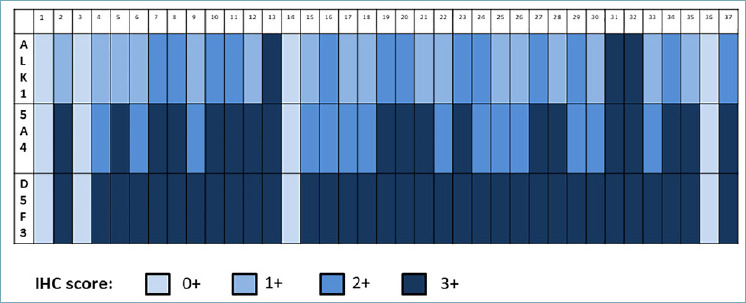 Immunohistochemistry with 3 different clones in anaplastic lymphoma kinase fluorescence in situ hybridization positive non-small-cell lung cancer with thymidylate synthase expression analysis: a multicentre, retrospective, Italian study.