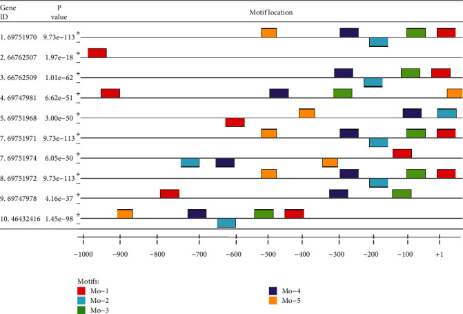 <i>In Silico</i> Study of Mercury Resistance Genes Extracted from <i>Pseudomonas</i> spp. Involved in Bioremediation: Understanding the Promoter Regions and Regulatory Elements.