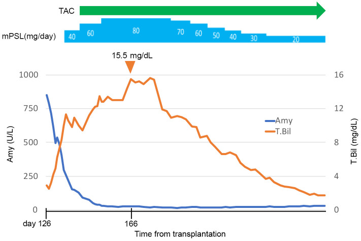 Successful treatment of acute pancreatitis associated with late-onset acute liver GVHD after second allogeneic hematopoietic cell transplantation.