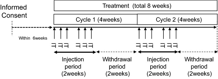 A phase I dose-escalation, safety/tolerability, and preliminary efficacy study of the intratumoral administration of GEN0101 in patients with advanced melanoma.