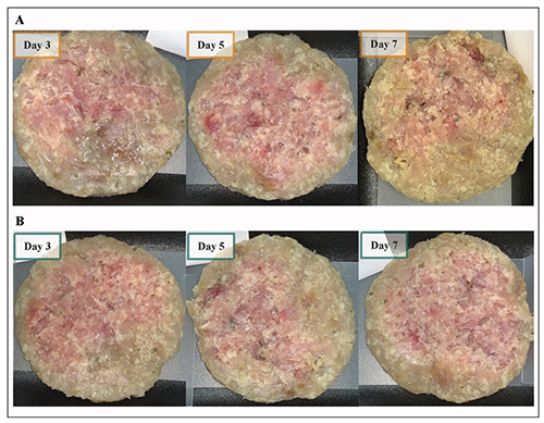 Effect of novel active packaging containing antimicrobial peptide on the shelf-life of fish burgers (<i>Coryphaena hippurus</i>) during refrigerated storage.