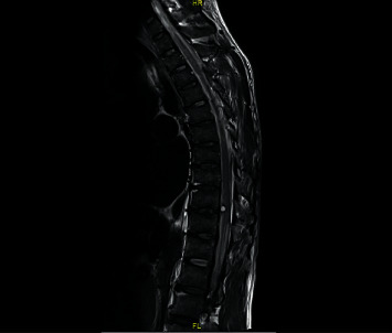 Abstract Image