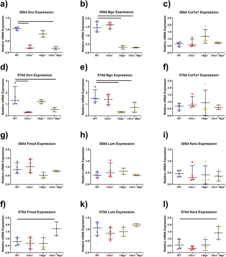 Decorin knockdown is beneficial for aged tendons in the presence of biglycan expression