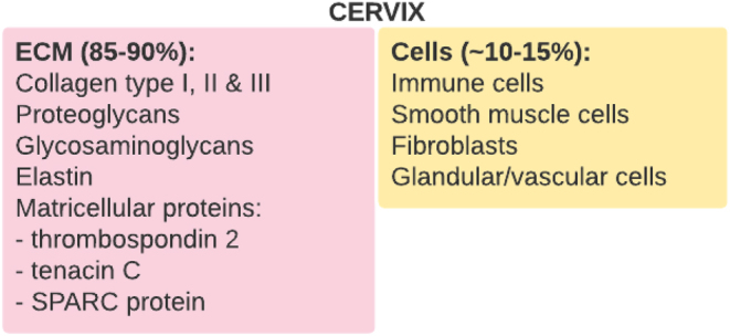 Matrix metalloproteinase-induced cervical extracellular matrix remodelling in pregnancy and cervical cancer.