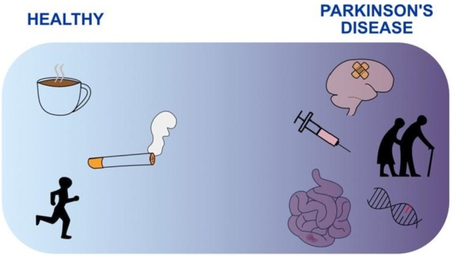 Reduced penetrance of Parkinson's disease models.