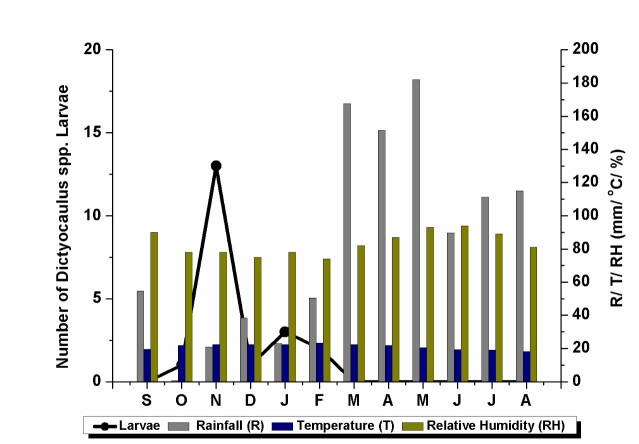 Larvoscopic study on Dictyocaulus sp. in the faeces of beef cattle in northeastern Brazil.