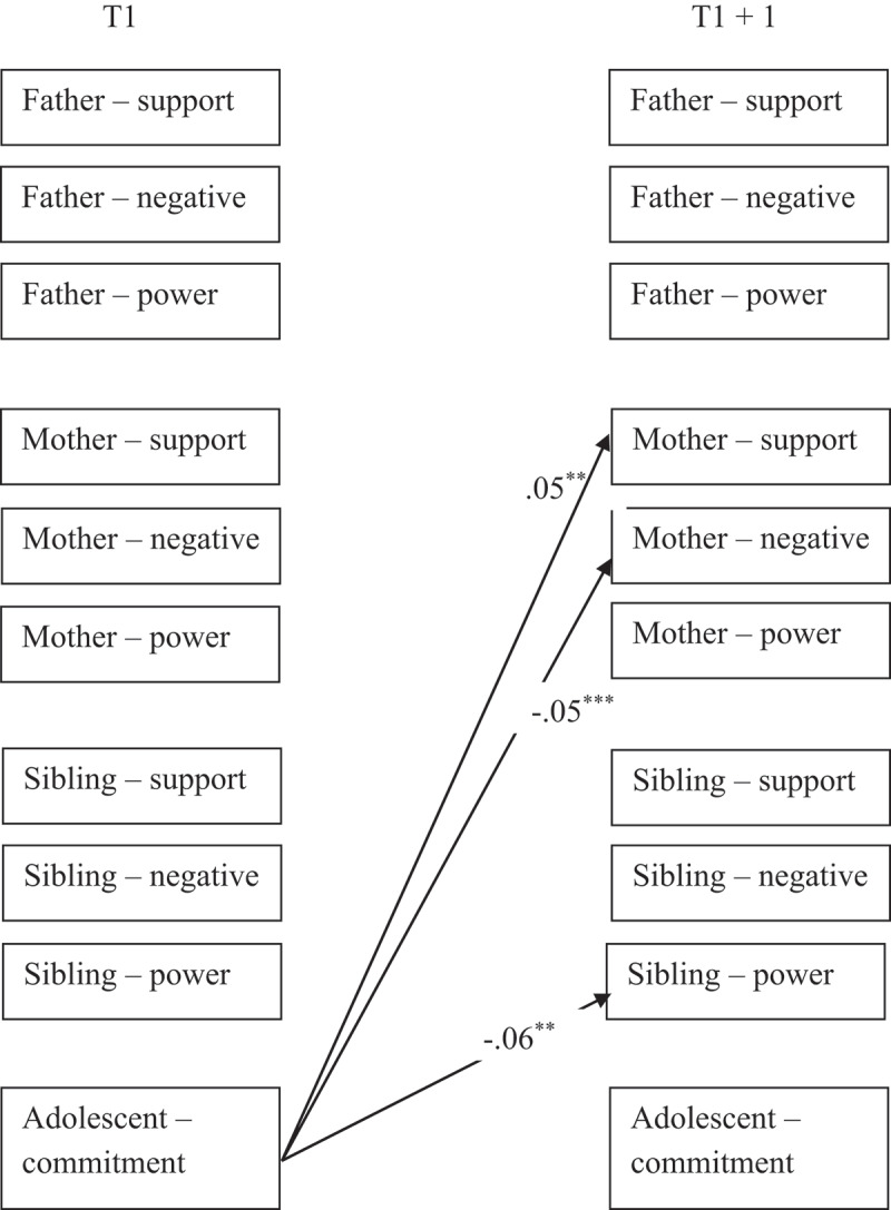 Identities: A developmental social-psychological perspective.