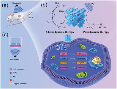 Synergetic Chemo-Piezodynamic Therapy of Osteosarcoma Enabled by Defect-Driven Lead-Free Piezoelectrics