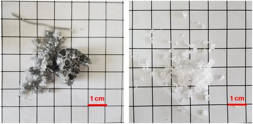 Effect of starting materials of nucleation agents on crystallization of CaO–Al2O3–SiO2 glass