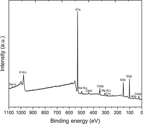 Structural characterization of the near-surface region of soda–lime–silica glass by X-ray photoelectron spectroscopy