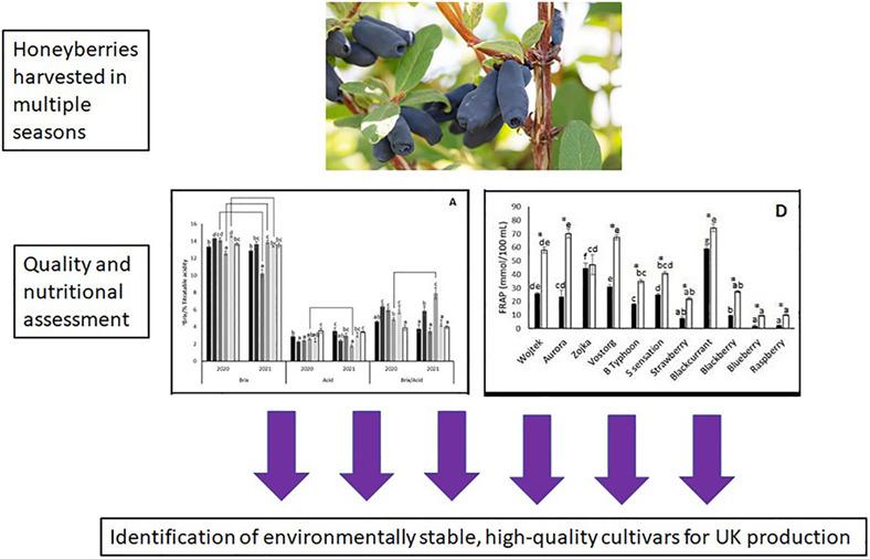 Comparative analysis of quality and nutritional traits from Lonicera caerulea (Honeyberry) cultivars and other berries grown in Scotland