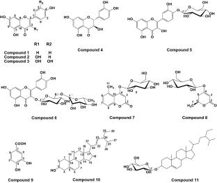 Phytochemical analysis and determination of antioxidant, anti-cholesterol, anti-inflammatory and anti-proliferative activities of Gerbera jamesonii flowers